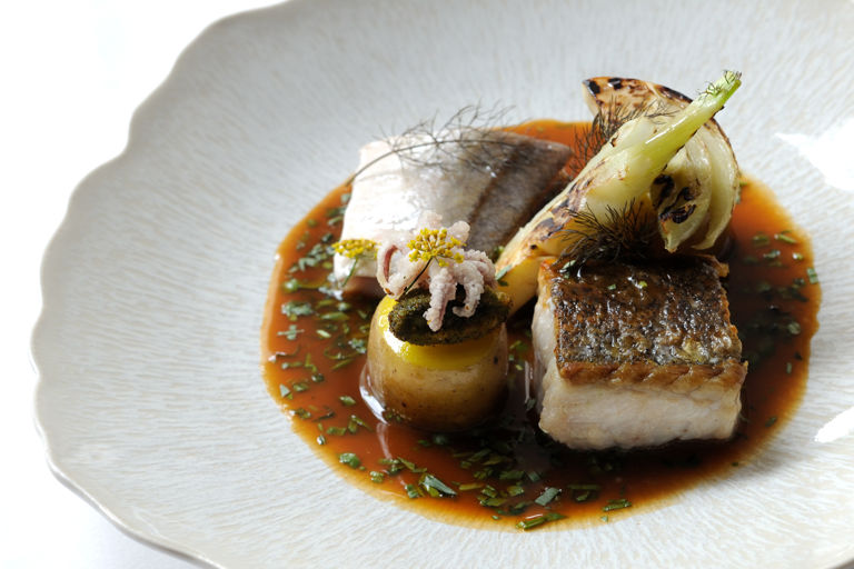 Fish stew with fillets of hake and gurnard