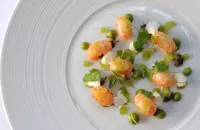 Roasted Scotch langoustines, oyster purée, celery, and horseradish