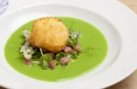 Pea and honey-roasted gammon salad with pea soup and crispy egg