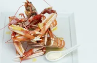 Steamed langoustines with oil, lemon and light mayonnaise