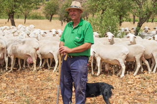 The food of Castile La Mancha