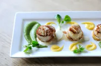 Scallops wrapped in prosciutto ham with butternut squash and watercress purée