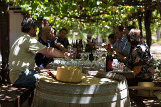 The Wine Show: episode five – earthquake in a glass