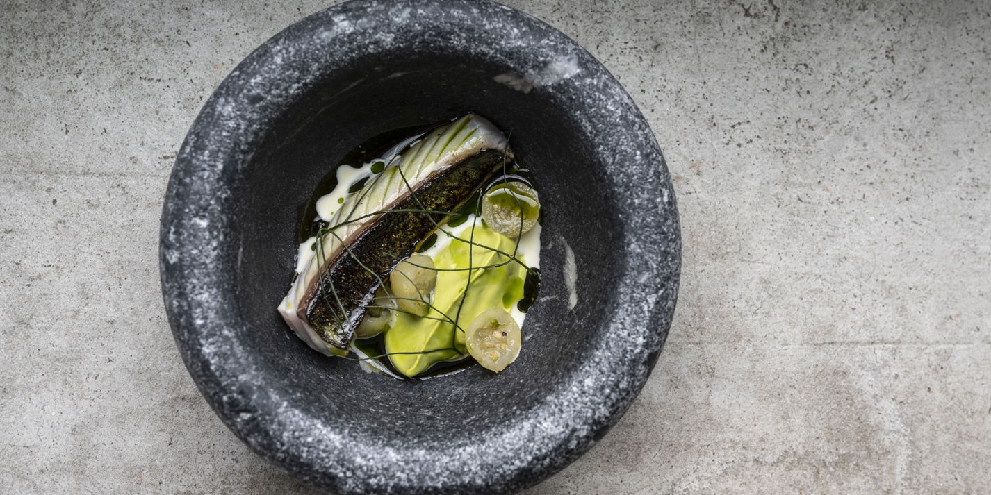 Mackerel, Vanilla, Gooseberry, Horseradish, Lovage Recipe - Great British Chefs