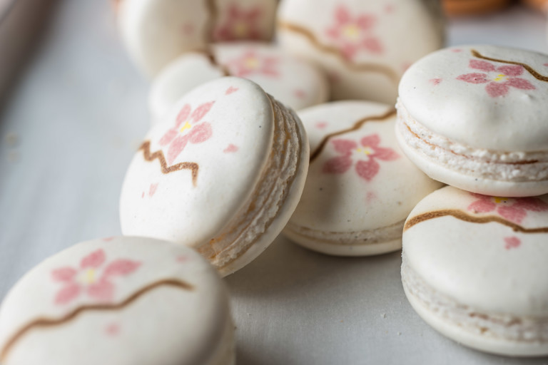 Cherry blossom macaron
