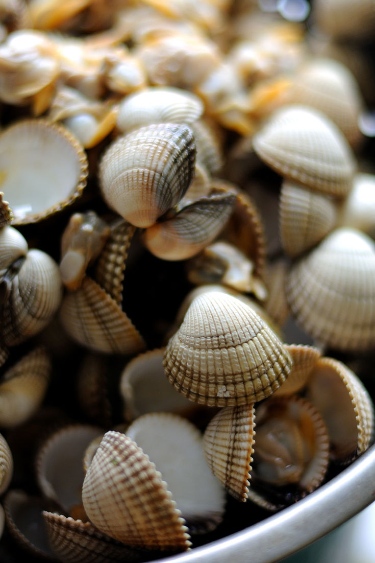 How to Cook Cockles Great British Chefs