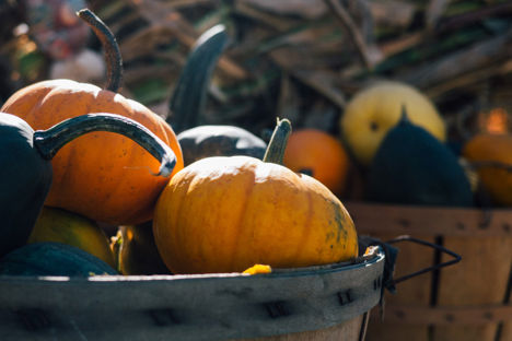 The haunting history of Halloween food