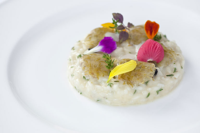 Risotto with oil, clams, thyme and lemon