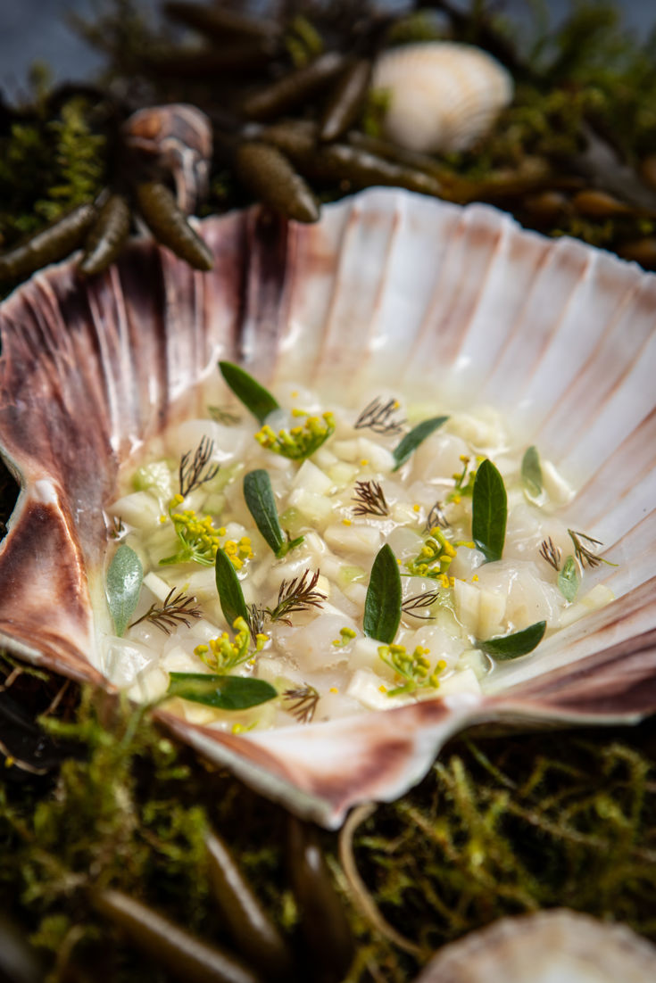 Cured Fennel Scallop Tartare Recipe Great British Chefs