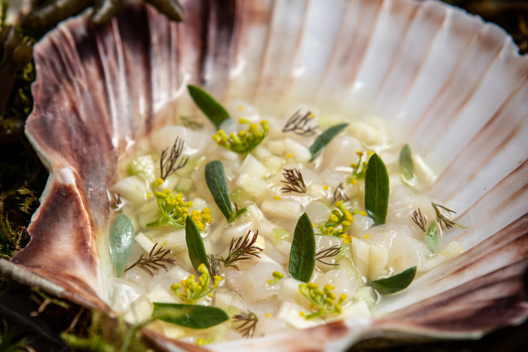 Cured fennel scallop tartare