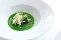 Chilled broccoli soup, salt cod mousse, seared hand-dived scallops and broccoli shoots