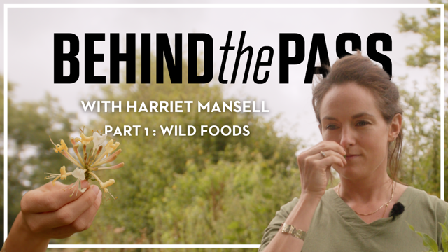 Harriet Mansell wild foods full video