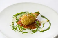 Crispy stuffed courgette flower with tomato fondue and basil sauce