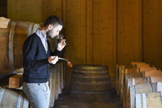 Fermentation in Friuli: the grape vinegar of La Subida