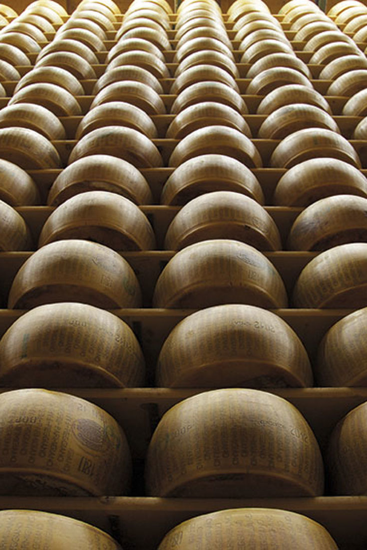 The marked wheels of Parmigiano-Reggiano (Parmesan) cheese