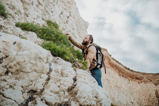 Feasting for free on the Isle of Wight: a guide to the island’s best foraged foods