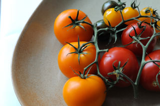 How to cook with tomatoes