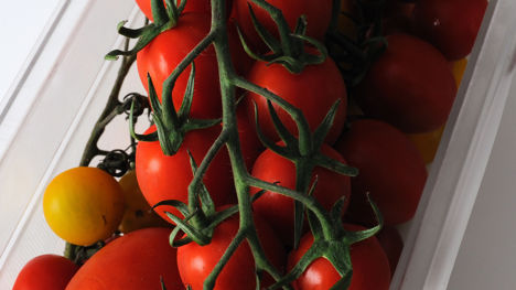 How%20to%20blanch%20and%20peel%20a%20tomato%20_960x540_2250.jpg (1)