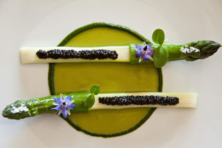 The chefs of Obsession 2016