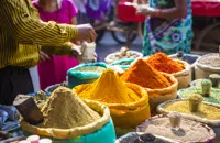 India: food and travel guides