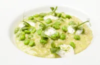 Pea risotto and cottage cheese