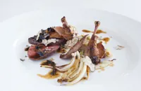 Pigeon with star anise, endive and black truffle