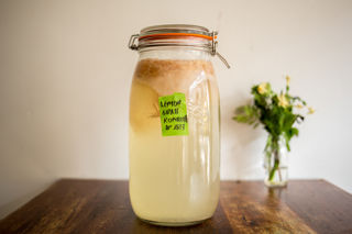 How to make kombucha