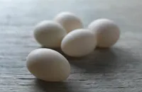 Duck egg recipes