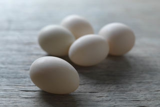 Duck egg recipes