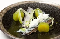 Pickled mackerel with buttermilk snow, cucumber and dill