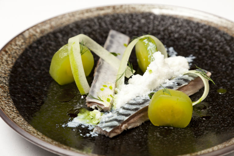 Pickled mackerel with buttermilk snow, cucumber and dill