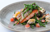 Alaska salmon with samphire and mussels