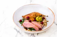 Wild duck with fig and cranberries