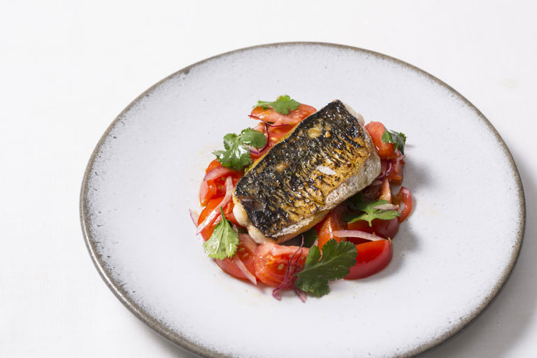 Grilled mackerel with tomato ceviche