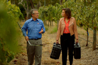 The Wine Show: episode twelve – climate change