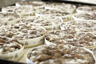 Making panforte at Marabissi