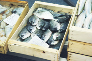 How to cook fish and seafood