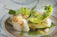 Cod with peas, snowpeas, cedro and pea shoots