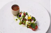 Tomato and mozzarella salad with lovage pesto