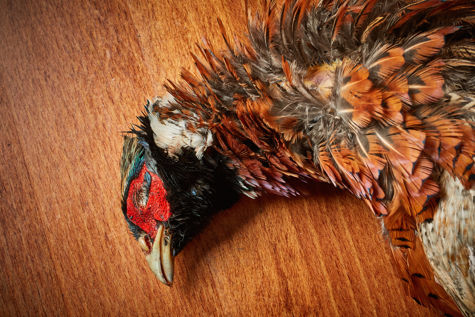 How to cook pheasant