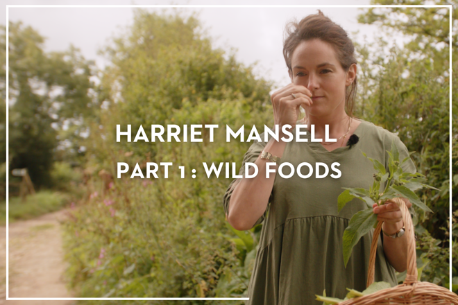 Behind the Pass with Harriet Mansell - Part 1:  Wild Foods