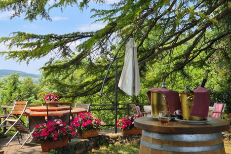 Discovering Istria: a gem of European gastronomy 