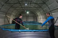 Retire the fish: inside the world’s first no-kill caviar farm