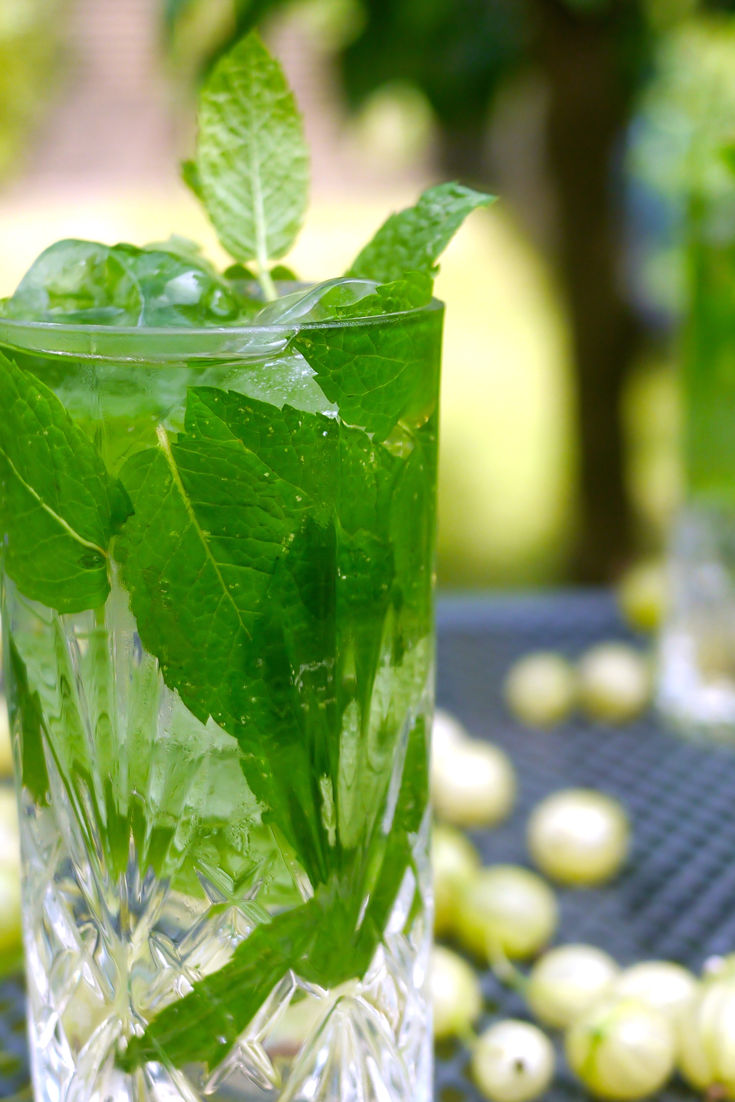 Gooseberry Gin Julep Recipe Great British Chefs