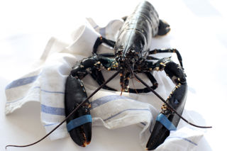 How to cook lobster sous vide