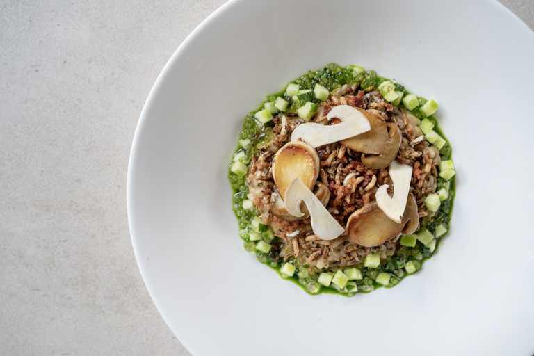 Cep Risotto, apple, Madeira and tarragon
