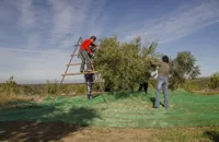 Lleida: Catalonia's olive oil country
