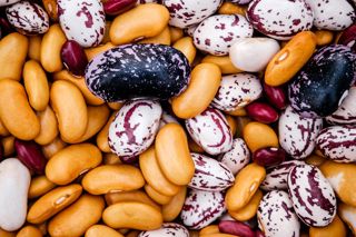 Spilling the beans: a guide to the ultimate legume