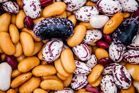 Spilling the beans: a guide to the ultimate legume