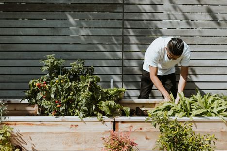 The Sustainable Restaurant Association on how chefs can build a better food future for people and planet